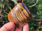 Polished Golden Tigers Eye with Banded Iron Stone Free Forms x 13 From Prieska, South Africa - Toprock Gemstones and Minerals 