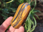 Polished Golden Tigers Eye with Banded Iron Stone Free Forms x 13 From Prieska, South Africa - Toprock Gemstones and Minerals 