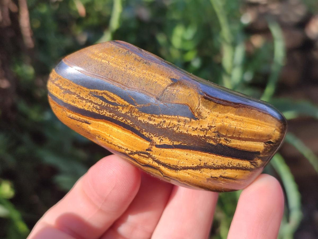 Polished Golden Tigers Eye with Banded Iron Stone Free Forms x 13 From Prieska, South Africa - Toprock Gemstones and Minerals 