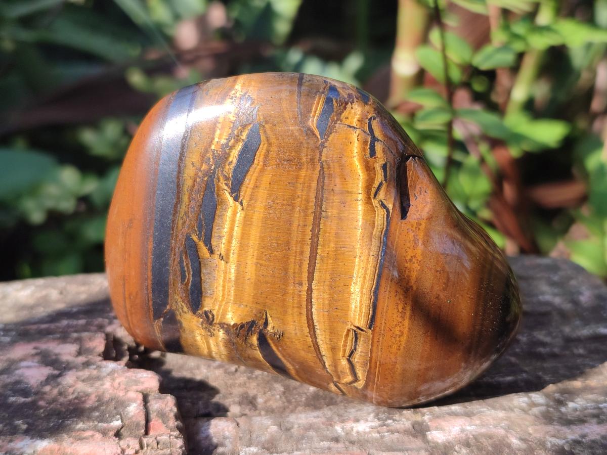 Polished Golden Tigers Eye with Banded Iron Stone Free Forms x 13 From Prieska, South Africa - Toprock Gemstones and Minerals 