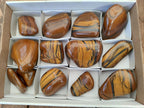 Polished Golden Tigers Eye with Banded Iron Stone Free Forms x 13 From Prieska, South Africa - Toprock Gemstones and Minerals 