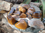 Polished Golden Tigers Eye with Banded Iron Stone Free Forms x 13 From Prieska, South Africa - Toprock Gemstones and Minerals 