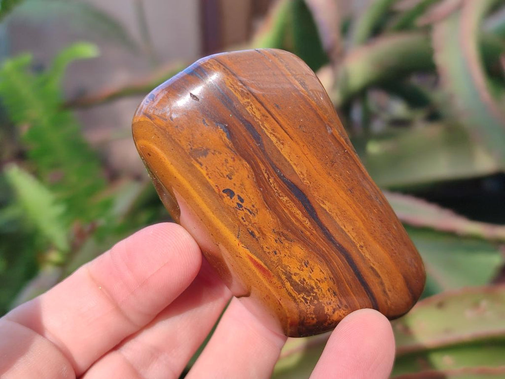Polished Golden Tigers Eye with Banded Iron Stone Free Forms x 13 From Prieska, South Africa - Toprock Gemstones and Minerals 