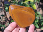 Polished Golden Tigers Eye with Banded Iron Stone Free Forms x 13 From Prieska, South Africa - Toprock Gemstones and Minerals 