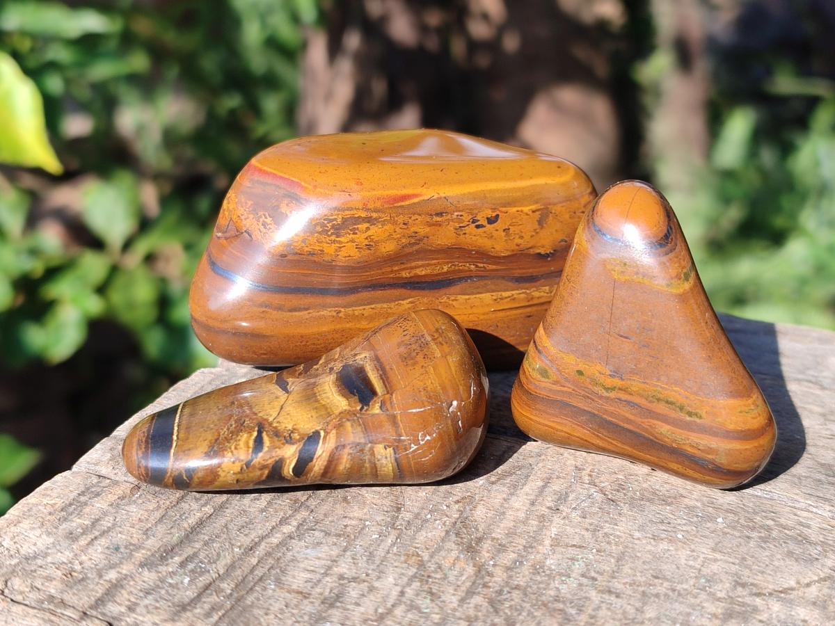 Polished Golden Tigers Eye with Banded Iron Stone Free Forms x 13 From Prieska, South Africa - Toprock Gemstones and Minerals 