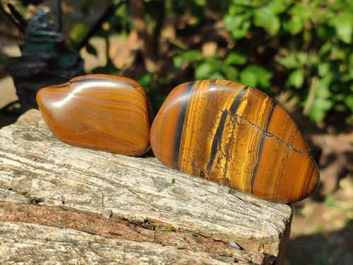 Polished Golden Tigers Eye with Banded Iron Stone Free Forms x 13 From Prieska, South Africa - Toprock Gemstones and Minerals 