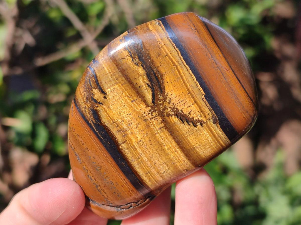 Polished Golden Tigers Eye with Banded Iron Stone Free Forms x 13 From Prieska, South Africa - Toprock Gemstones and Minerals 
