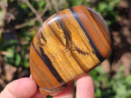 Polished Golden Tigers Eye with Banded Iron Stone Free Forms x 13 From Prieska, South Africa - Toprock Gemstones and Minerals 