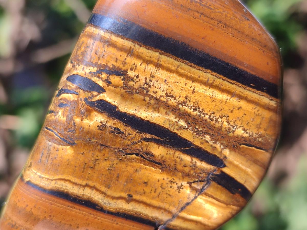 Polished Golden Tigers Eye with Banded Iron Stone Free Forms x 13 From Prieska, South Africa - Toprock Gemstones and Minerals 