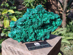 Natural Large Silky Malachite Specimen x 1 From Kasompe, Congo - Toprock Gemstones and Minerals 