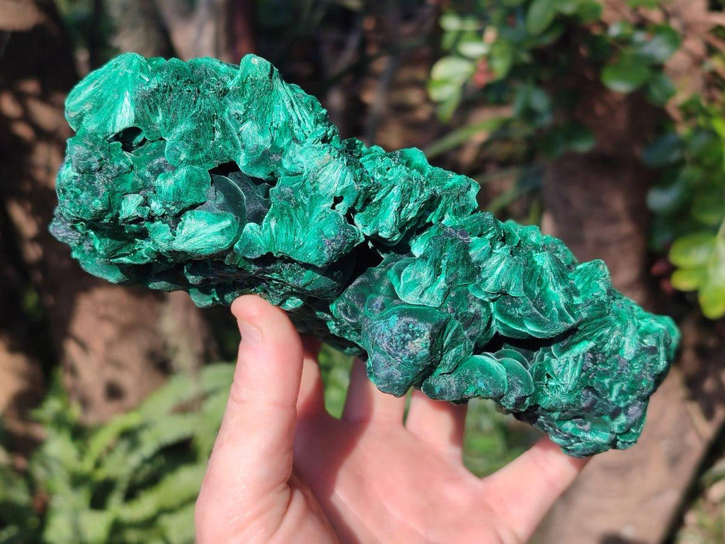 Natural Large Silky Malachite Specimen x 1 From Kasompe, Congo - Toprock Gemstones and Minerals 