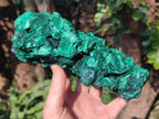 Natural Large Silky Malachite Specimen x 1 From Kasompe, Congo - Toprock Gemstones and Minerals 