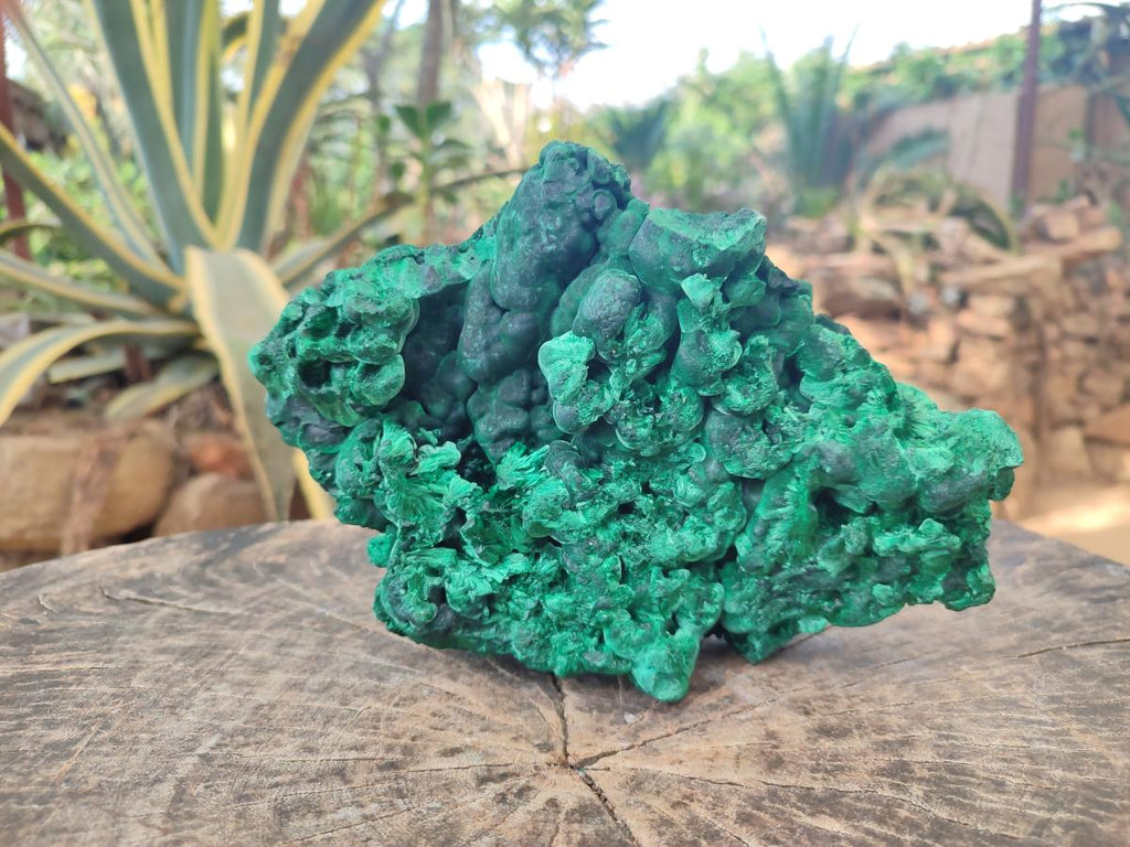 Natural Large Silky Malachite Specimen x 1 From Kasompe, Congo - Toprock Gemstones and Minerals 