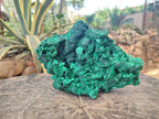 Natural Large Silky Malachite Specimen x 1 From Kasompe, Congo - Toprock Gemstones and Minerals 