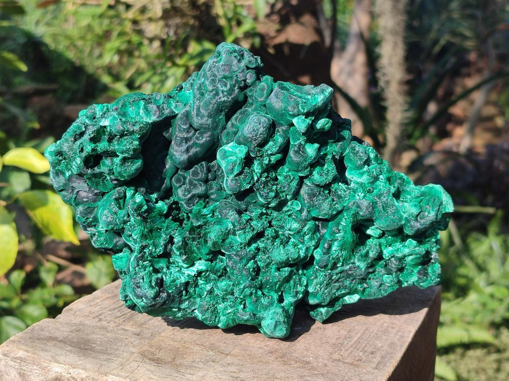 Natural Large Silky Malachite Specimen x 1 From Kasompe, Congo - Toprock Gemstones and Minerals 