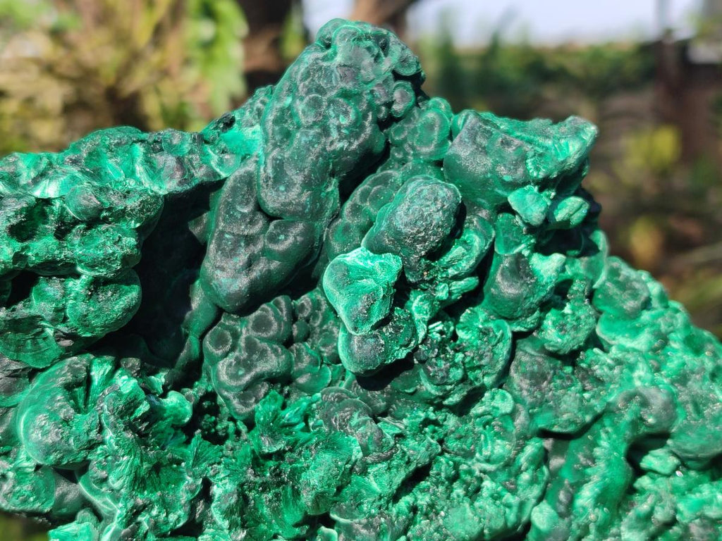 Natural Large Silky Malachite Specimen x 1 From Kasompe, Congo - Toprock Gemstones and Minerals 