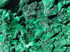 Natural Large Silky Malachite Specimen x 1 From Kasompe, Congo - Toprock Gemstones and Minerals 