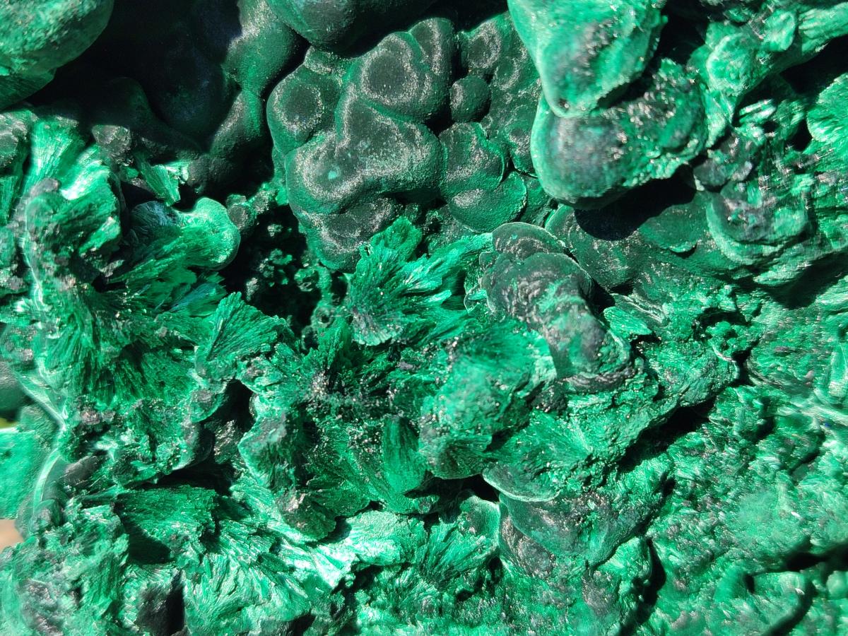 Natural Large Silky Malachite Specimen x 1 From Kasompe, Congo - Toprock Gemstones and Minerals 