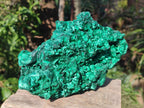 Natural Large Silky Malachite Specimen x 1 From Kasompe, Congo - Toprock Gemstones and Minerals 