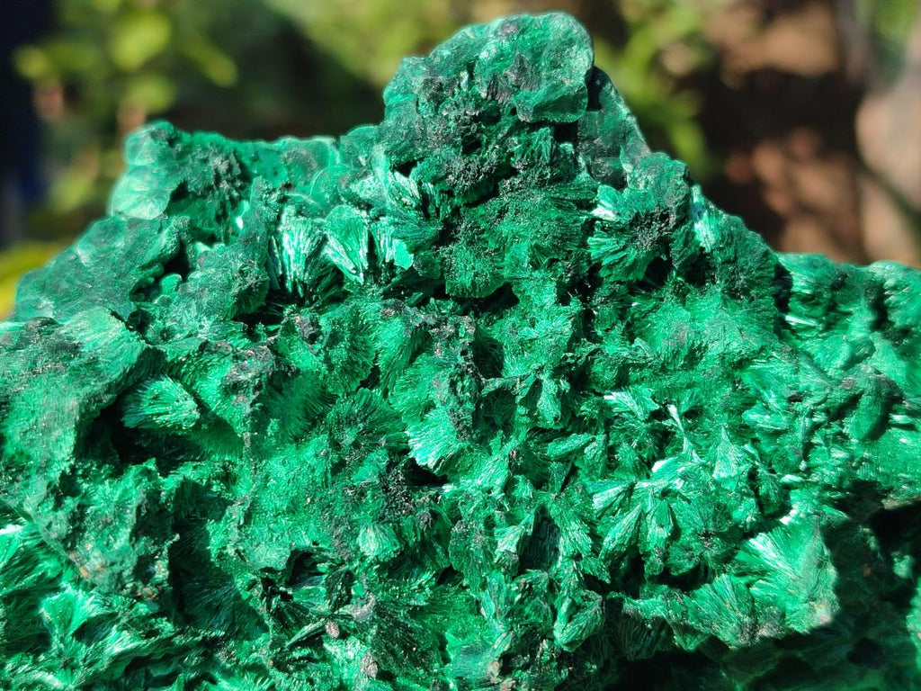 Natural Large Silky Malachite Specimen x 1 From Kasompe, Congo - Toprock Gemstones and Minerals 