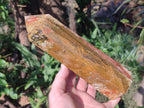 Polished Ocean Jasper Towers x 2 From Northwest Coast, Madagascar - Toprock Gemstones and Minerals 