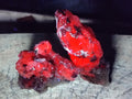 Natural Drusy Quartz Coated Calcite Crystal and Cluster Specimens x 12 From Albert's Mountain, Lesotho - Toprock Gemstones and Minerals 