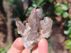 Natural Drusy Quartz Coated Calcite Crystal and Cluster Specimens x 12 From Albert's Mountain, Lesotho - Toprock Gemstones and Minerals 