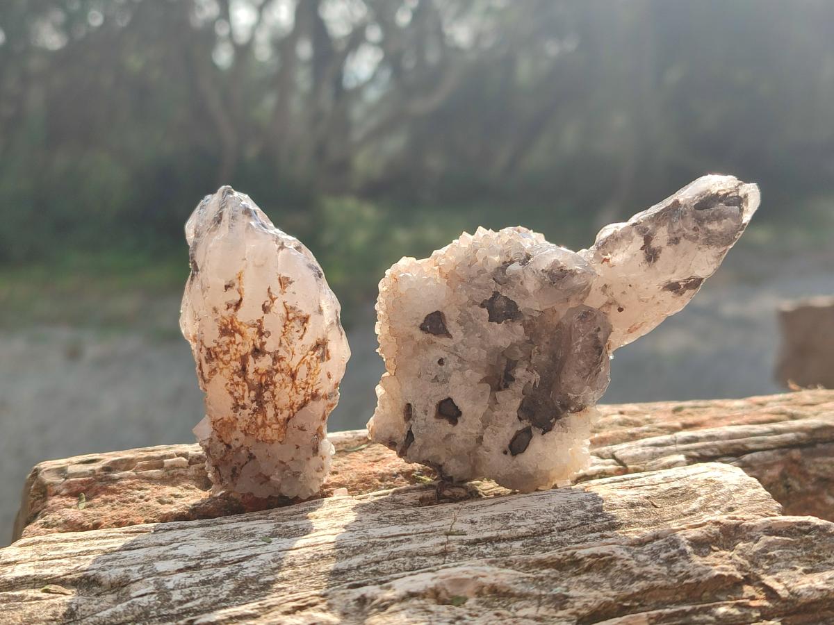 Natural Drusy Quartz Coated Calcite Crystal and Cluster Specimens x 12 From Albert's Mountain, Lesotho - Toprock Gemstones and Minerals 