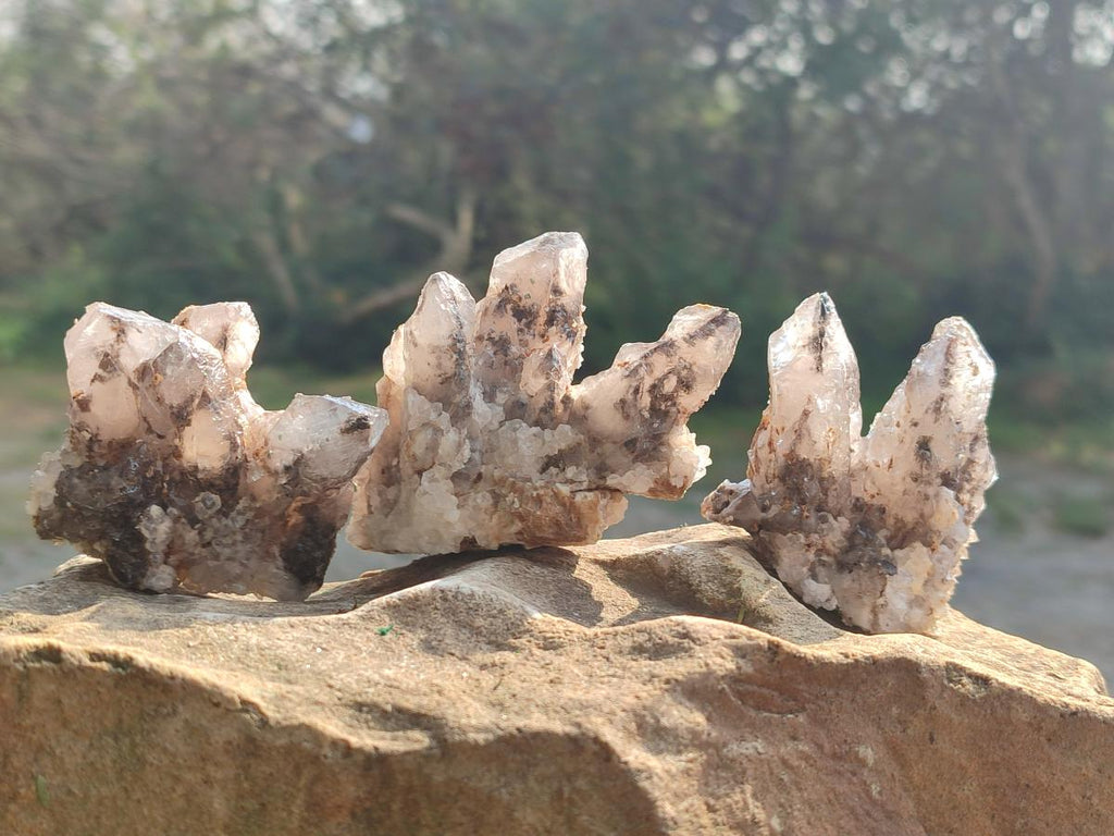 Natural Drusy Quartz Coated Calcite Crystal and Cluster Specimens x 12 From Albert's Mountain, Lesotho - Toprock Gemstones and Minerals 