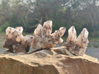 Natural Drusy Quartz Coated Calcite Crystal and Cluster Specimens x 12 From Albert's Mountain, Lesotho - Toprock Gemstones and Minerals 