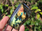 Polished Labradorite Standing Display Pieces x 6 From Madagascar