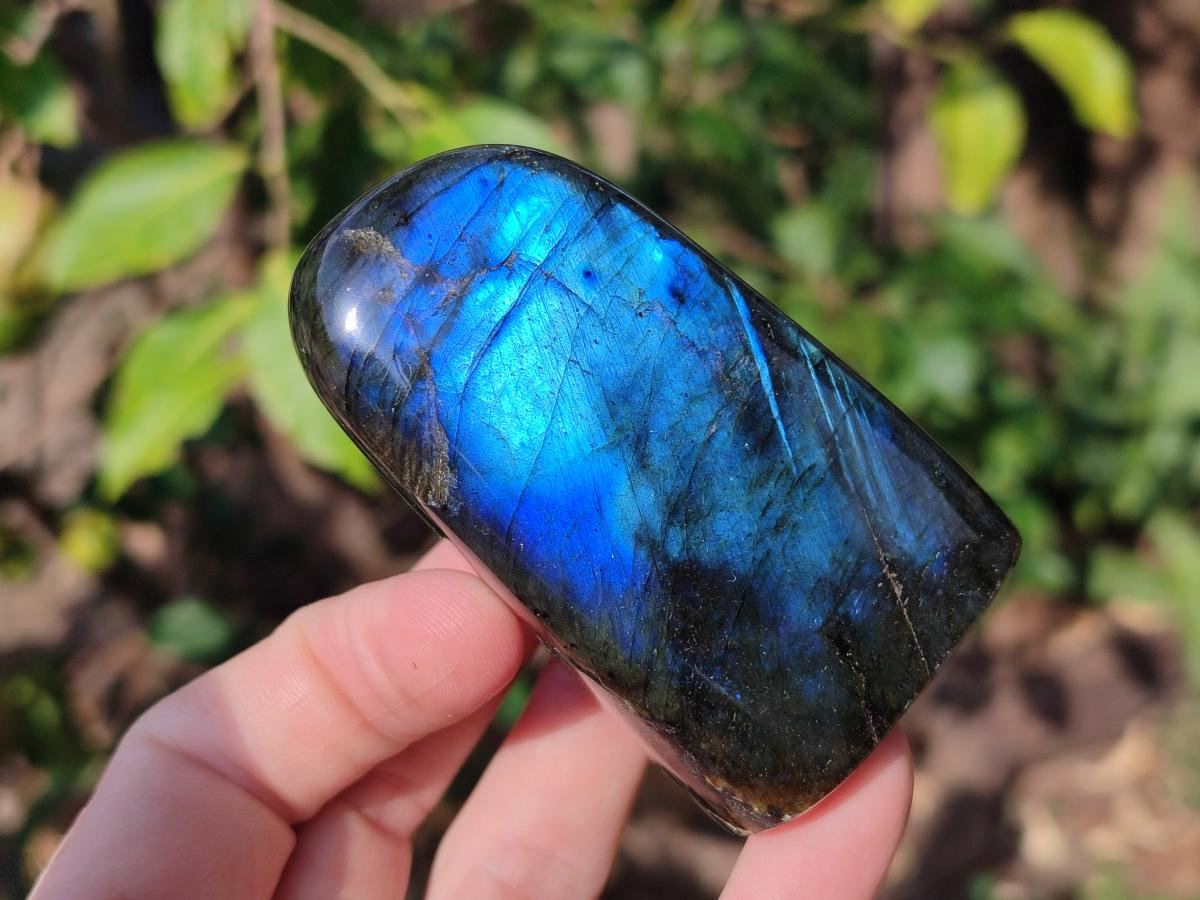 Polished Labradorite Standing Display Pieces x 6 From Madagascar