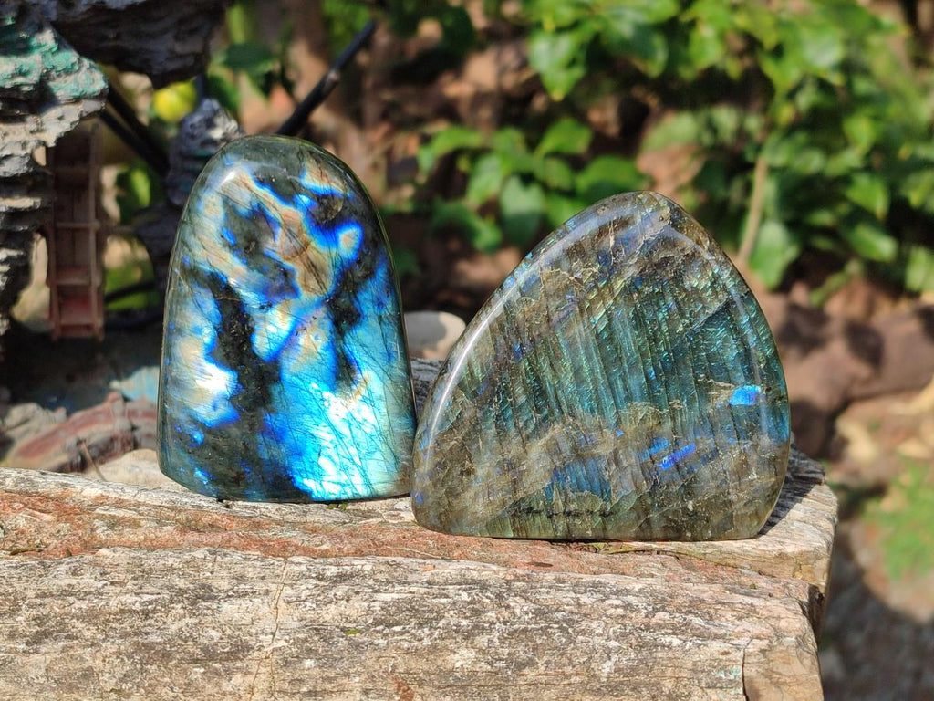 Polished Labradorite Standing Display Pieces x 6 From Madagascar