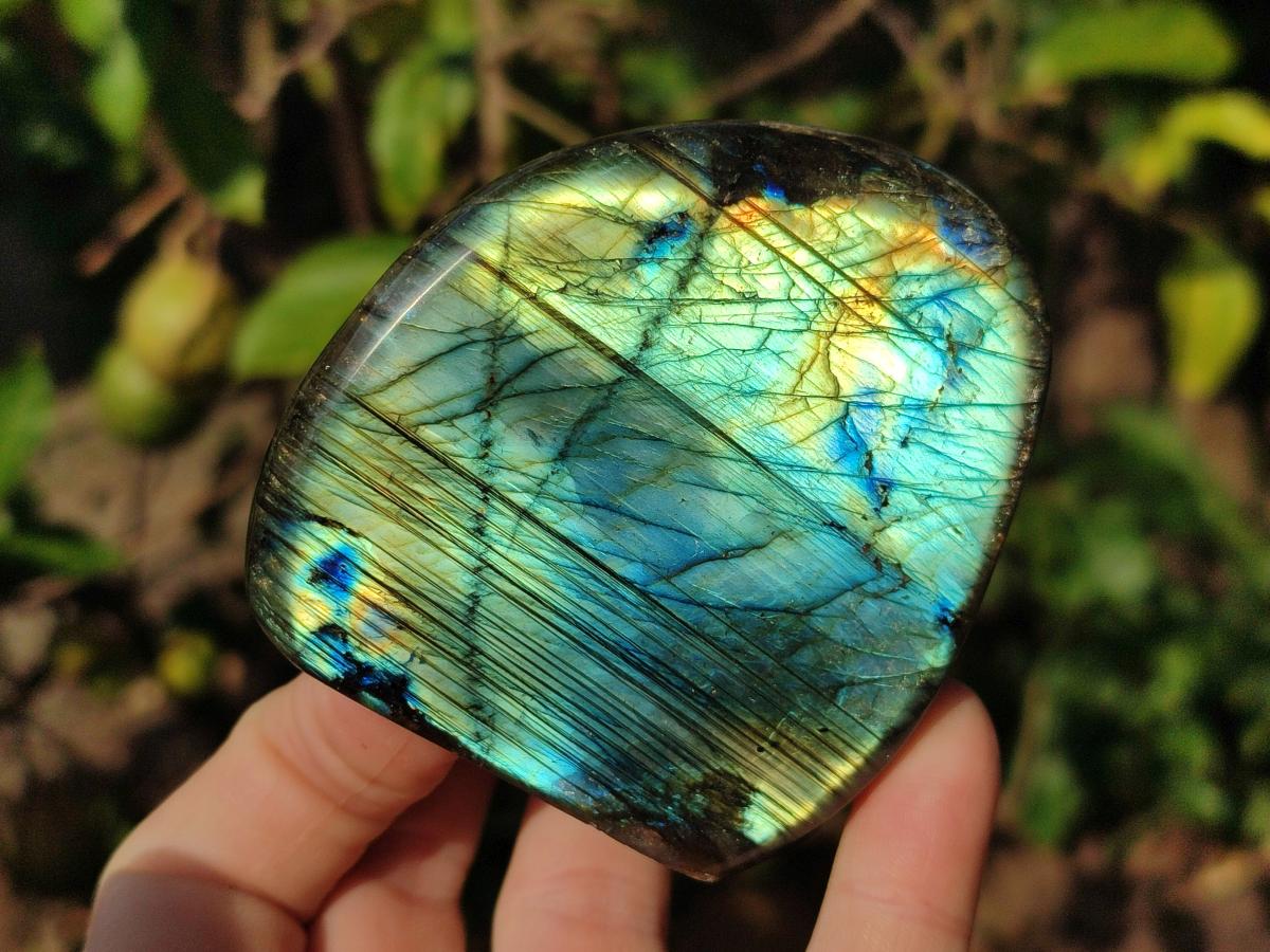 Polished Labradorite Standing Display Pieces x 6 From Madagascar
