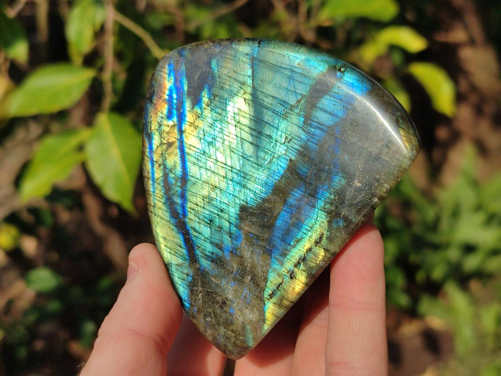 Polished Labradorite Standing Display Pieces x 6 From Madagascar