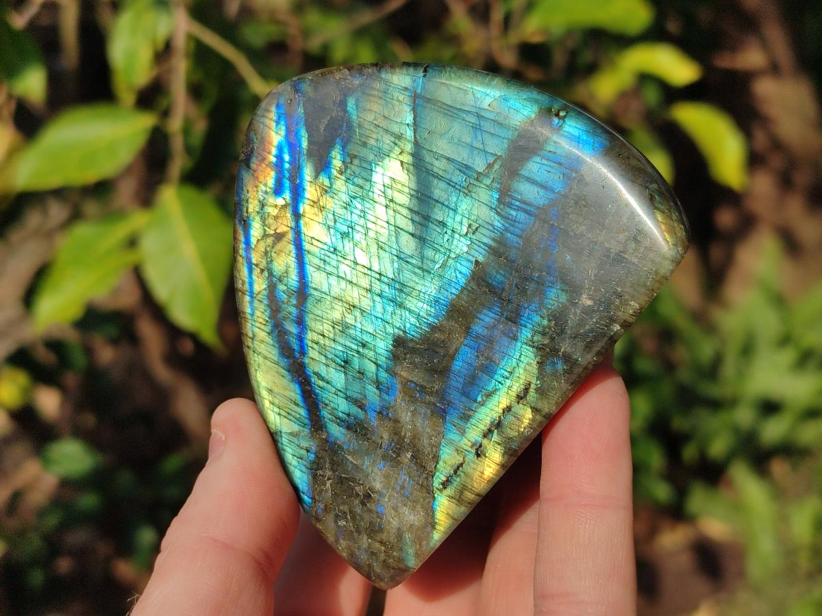 Polished Labradorite Standing Display Pieces x 6 From Madagascar