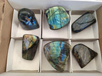 Polished Labradorite Standing Display Pieces x 6 From Madagascar