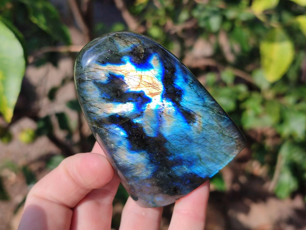 Polished Labradorite Standing Display Pieces x 6 From Madagascar
