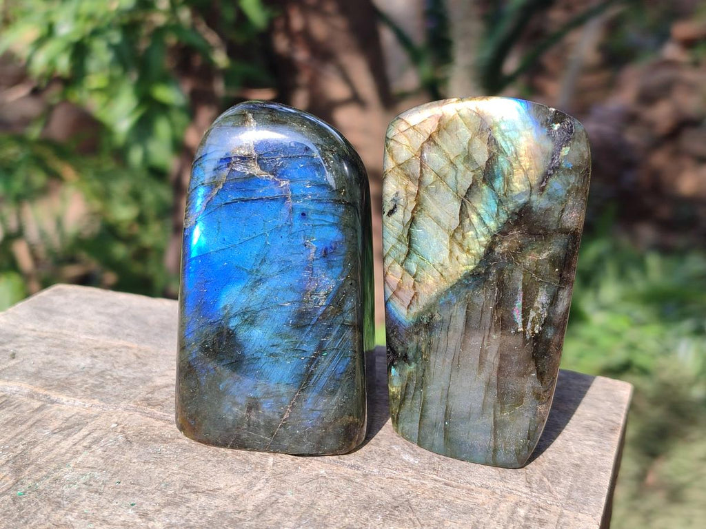 Polished Labradorite Standing Display Pieces x 6 From Madagascar