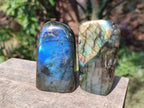 Polished Labradorite Standing Display Pieces x 6 From Madagascar