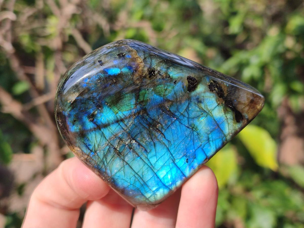 Polished Labradorite Standing Display Pieces x 6 From Madagascar