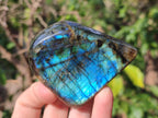 Polished Labradorite Standing Display Pieces x 6 From Madagascar