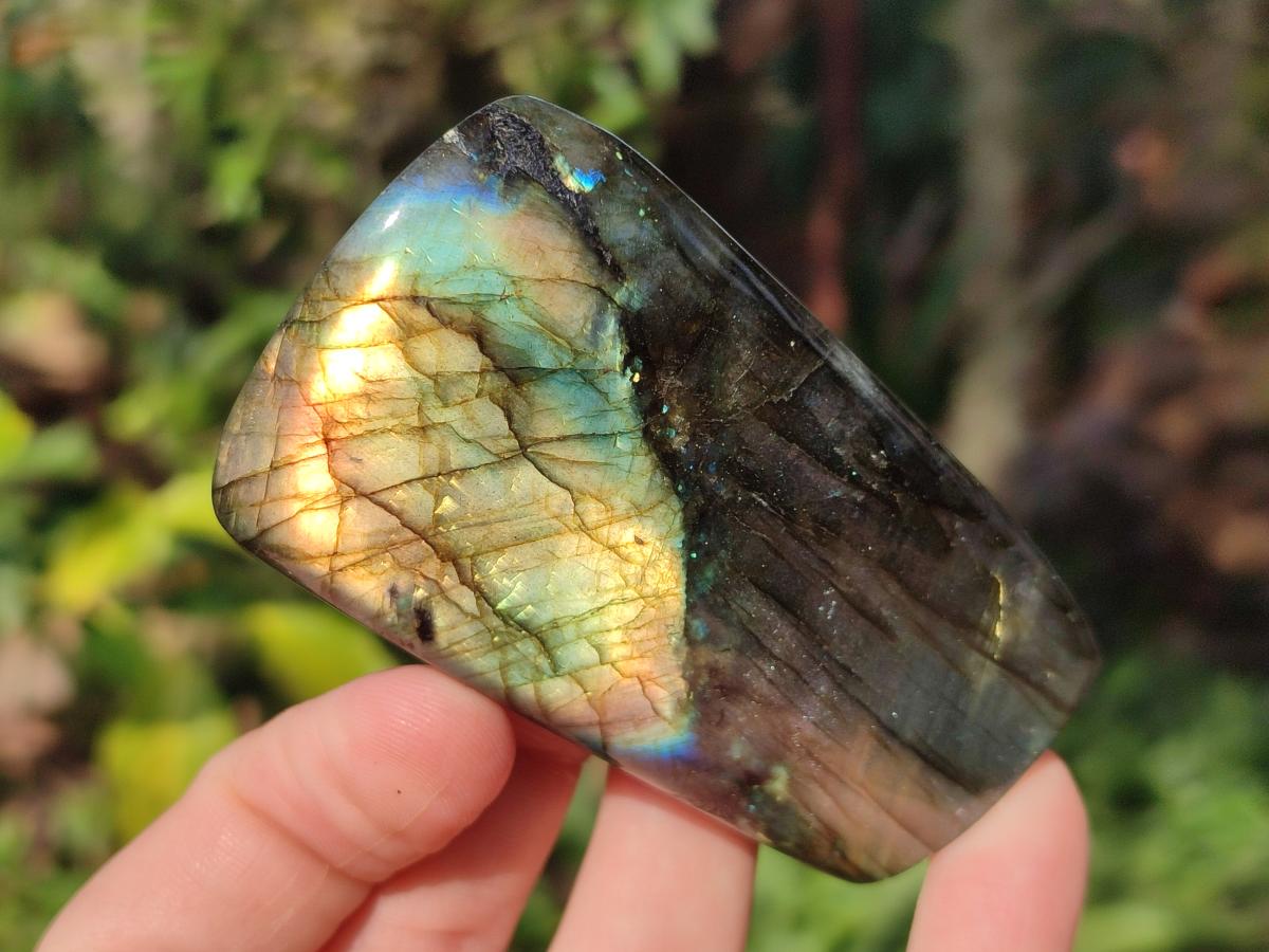 Polished Labradorite Standing Display Pieces x 6 From Madagascar