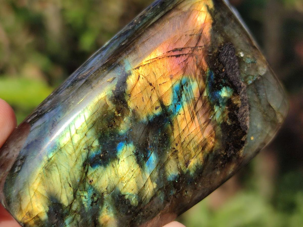 Polished Labradorite Standing Display Pieces x 6 From Madagascar
