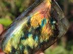 Polished Labradorite Standing Display Pieces x 6 From Madagascar