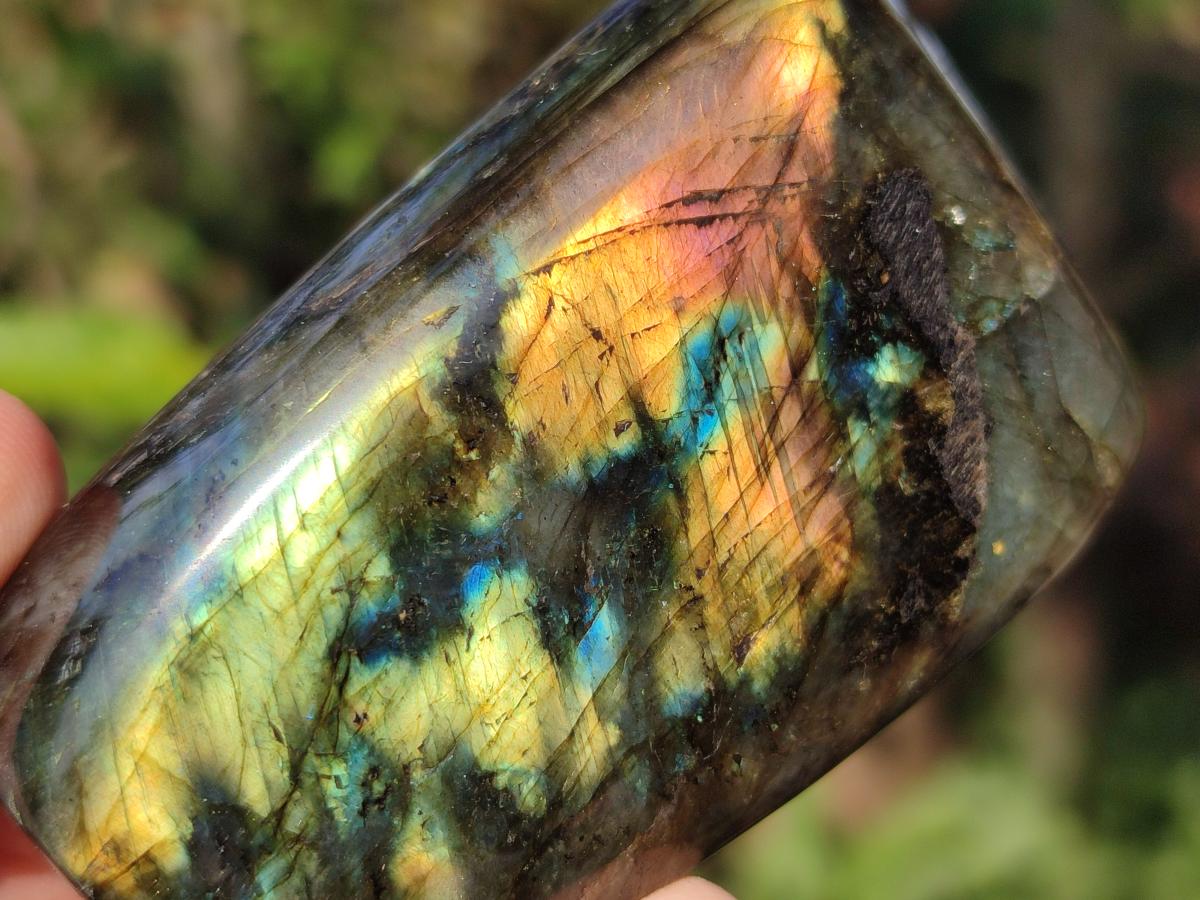 Polished Labradorite Standing Display Pieces x 6 From Madagascar