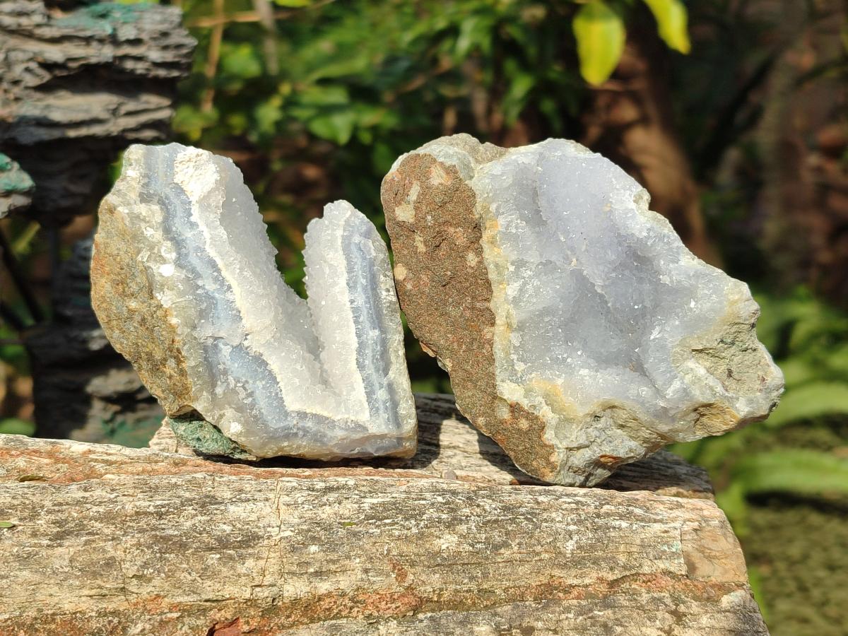 Natural Blue Lace Agate Geode Specimens x 6 From Nsanje, Malawi - Toprock Gemstones and Minerals 