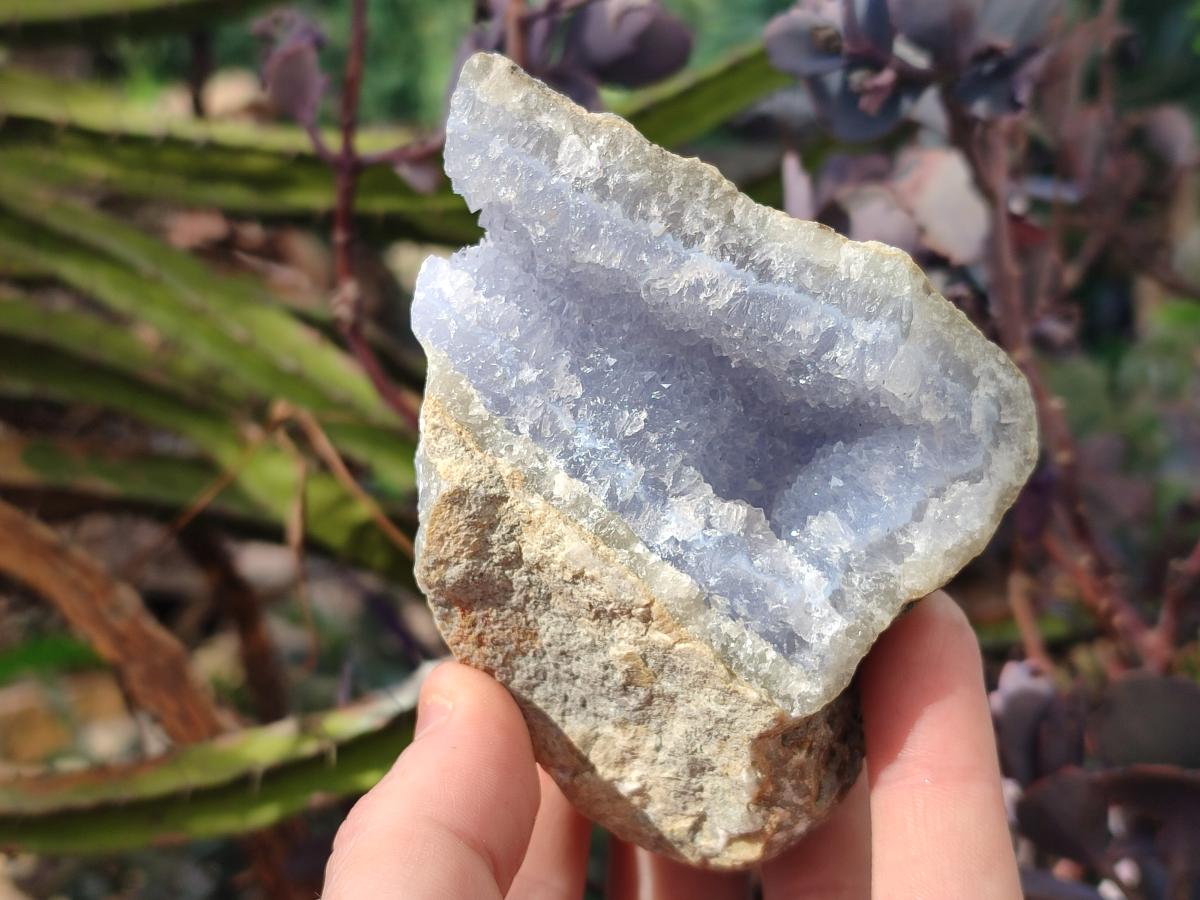 Natural Blue Lace Agate Geode Specimens x 6 From Nsanje, Malawi - Toprock Gemstones and Minerals 