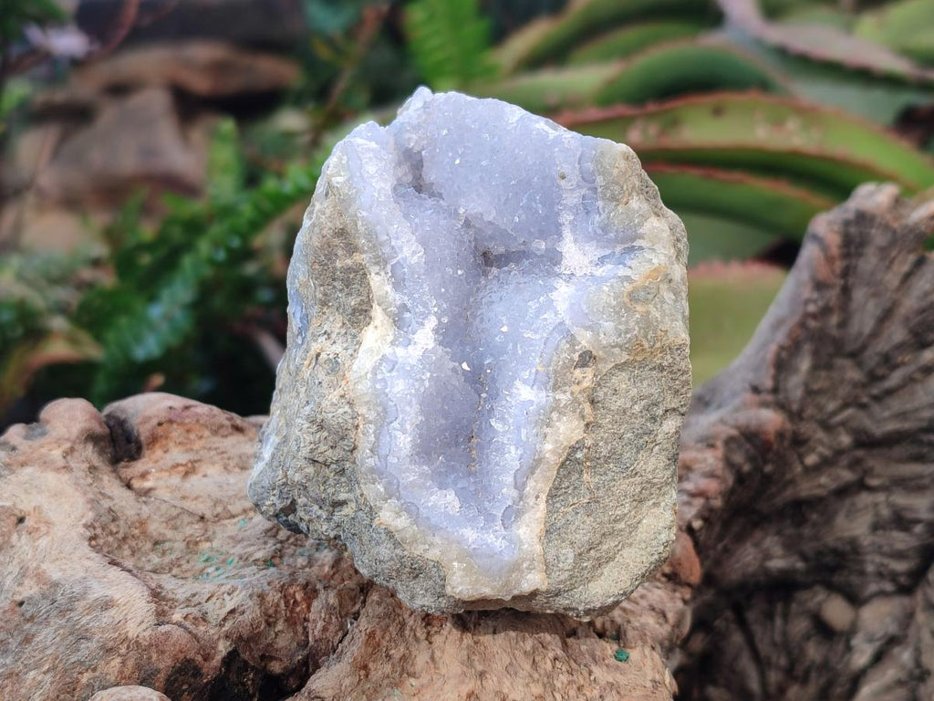Natural Blue Lace Agate Geode Specimens x 6 From Nsanje, Malawi - Toprock Gemstones and Minerals 