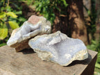 Natural Blue Lace Agate Geode Specimens x 6 From Nsanje, Malawi - Toprock Gemstones and Minerals 